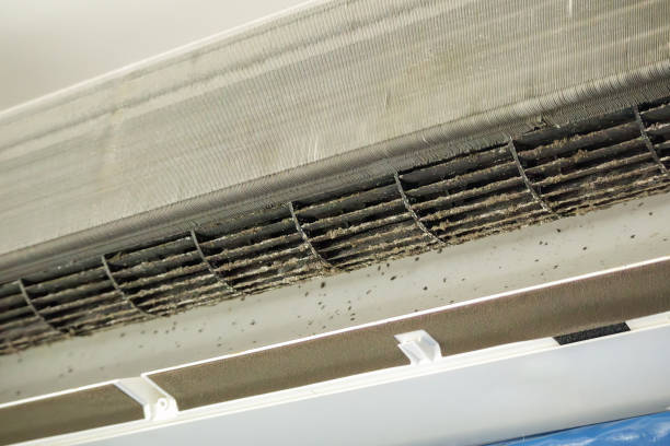 Best Local Air Duct Cleaning Services  in Brookshire, TX